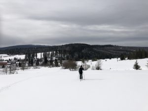 Cross-country skiing